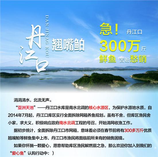 丹江口翘嘴鲌,丹江口爱心鱼